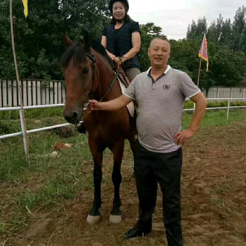 辛文英