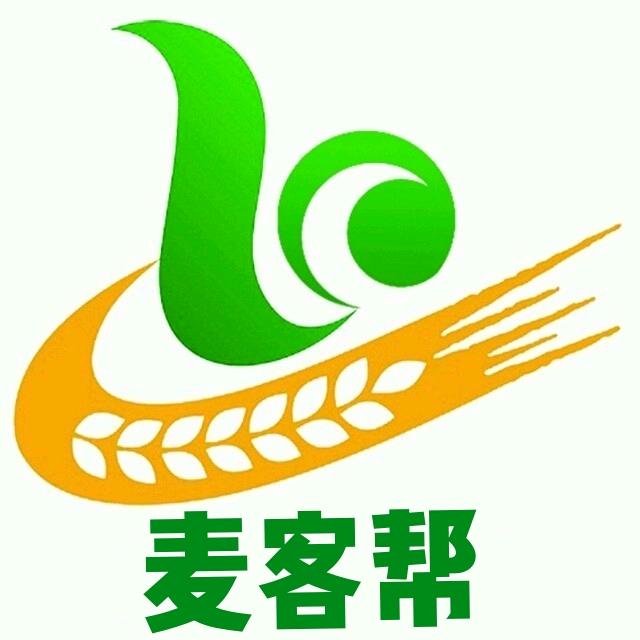 蒙城大老苏