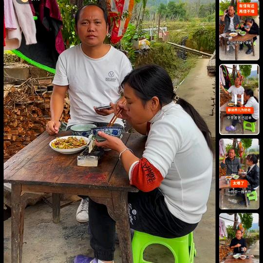 晴栀菀歌