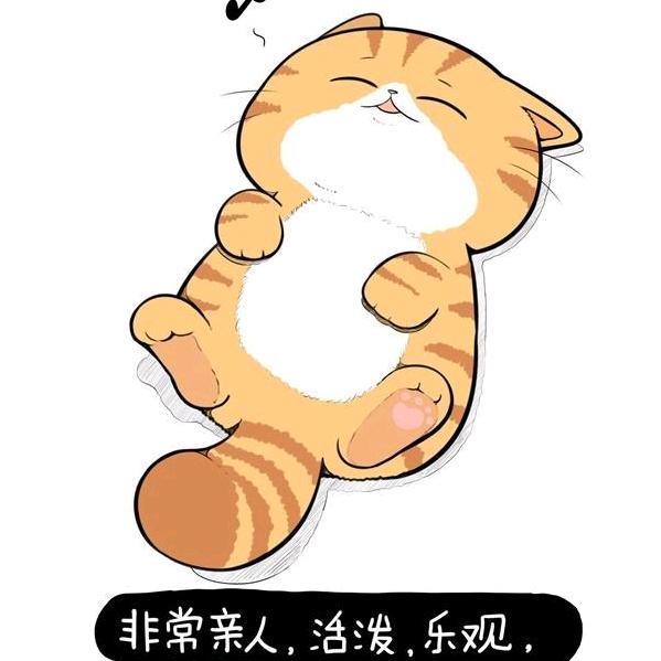 橘猫不是猫