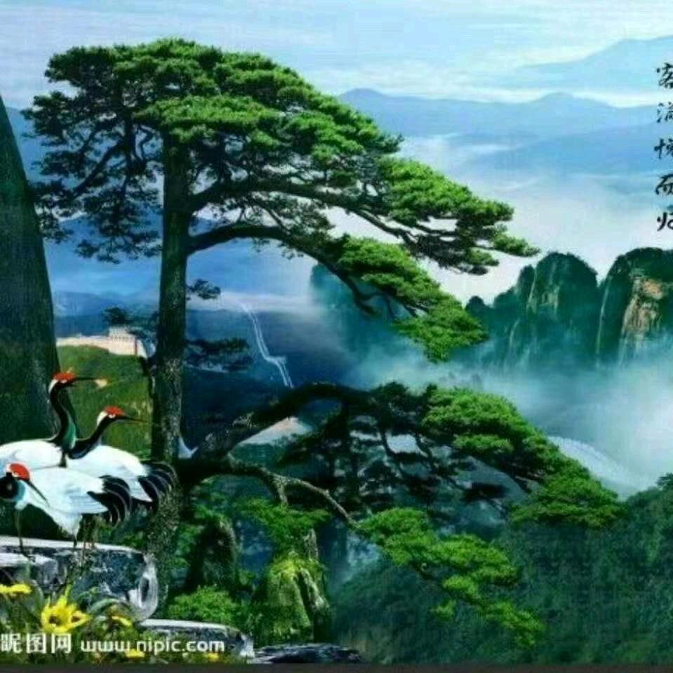 木易杨🔥