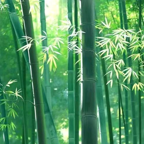 一蓑烟雨任平生❤️