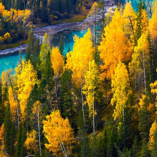 用户，，单身男人，选找真爱，无怨无悔