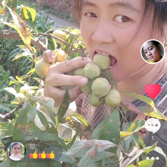 不在惊动爱情