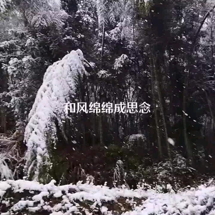 心锁