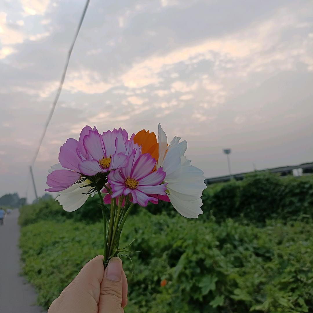 随遇而安