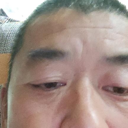比岸花