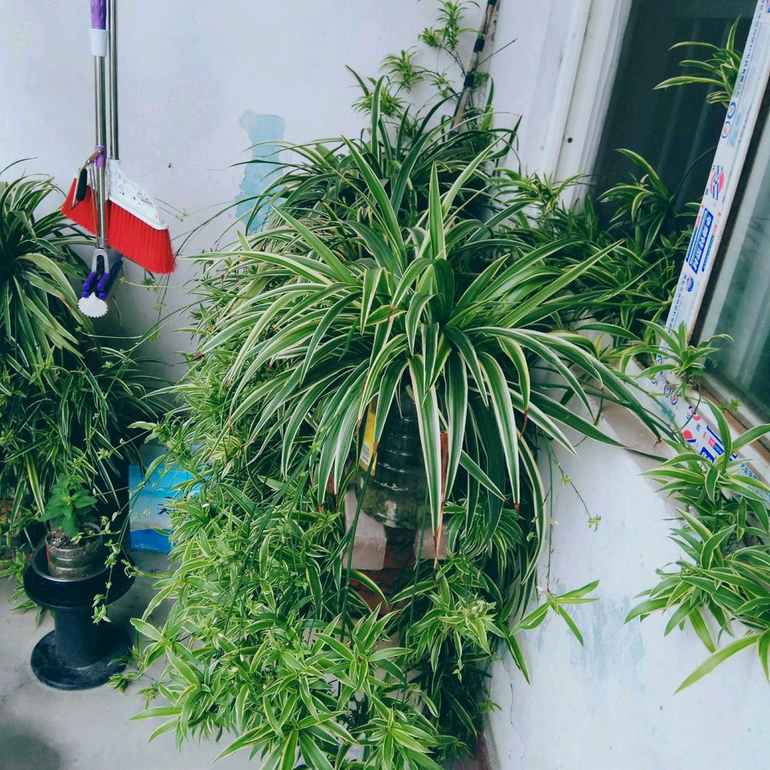 珍惜眼前人：（互活粉