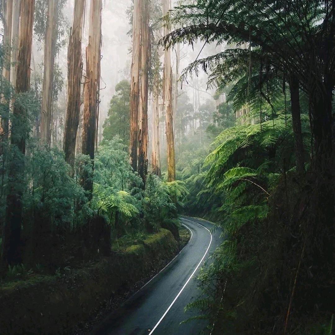 信阳土菜 回家吃饭