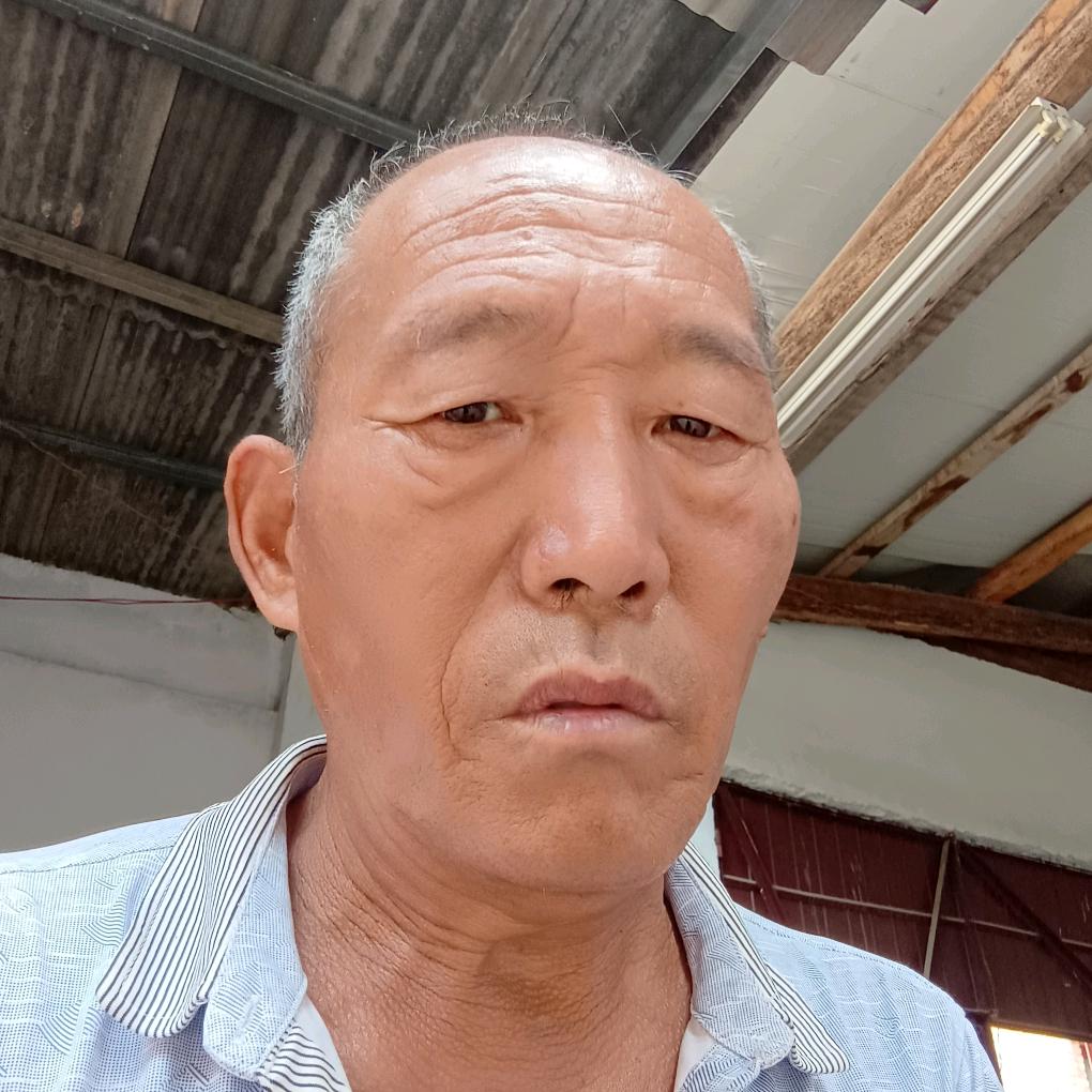太义