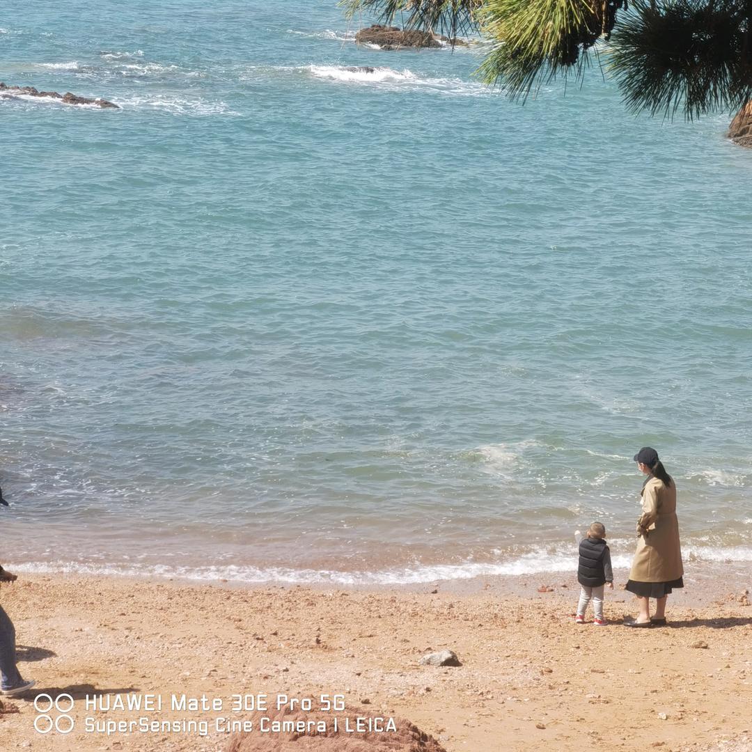 如沐⭐春风(泓森)