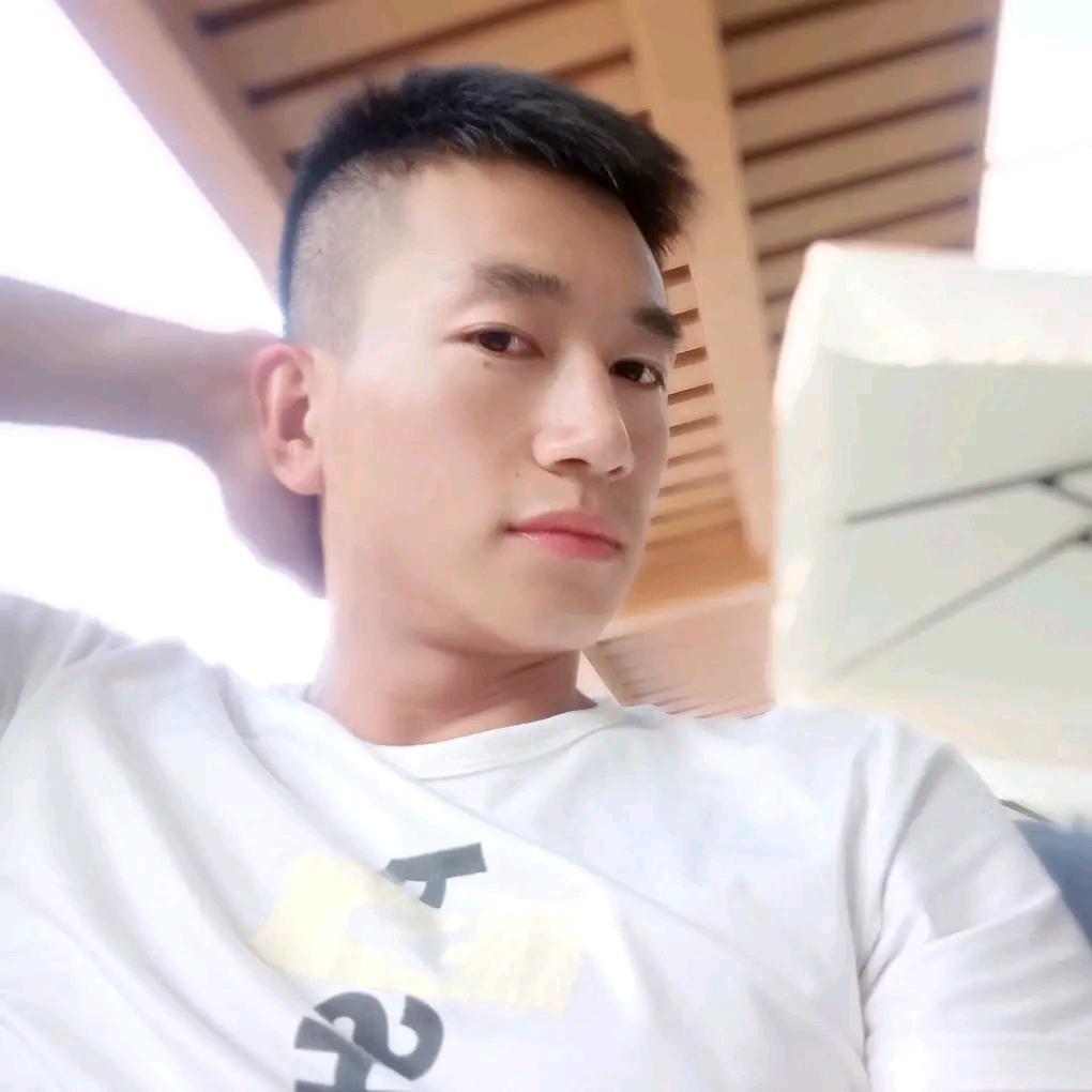 鸿鹄  我的梦