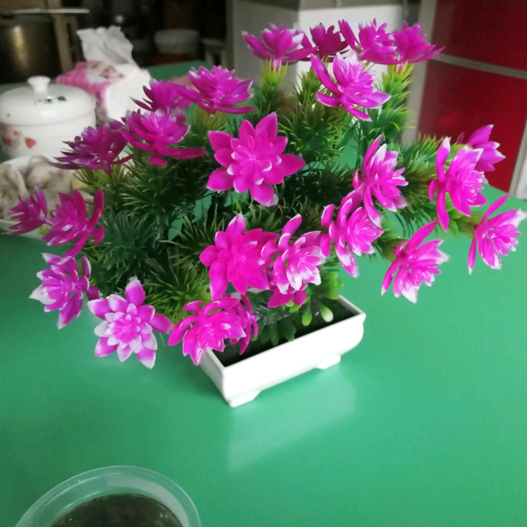 🍀宗荣🍀