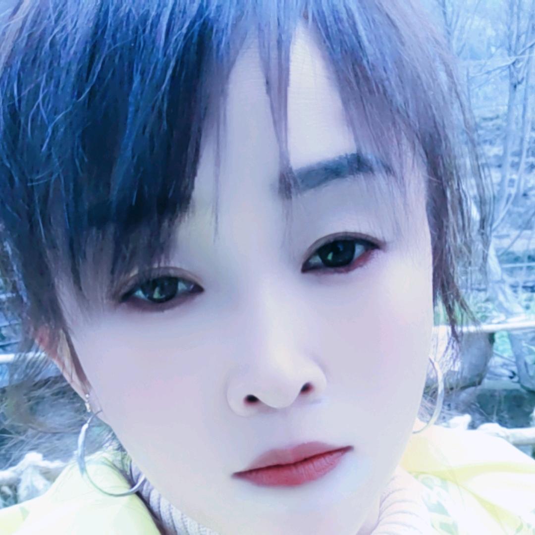贵州燕子