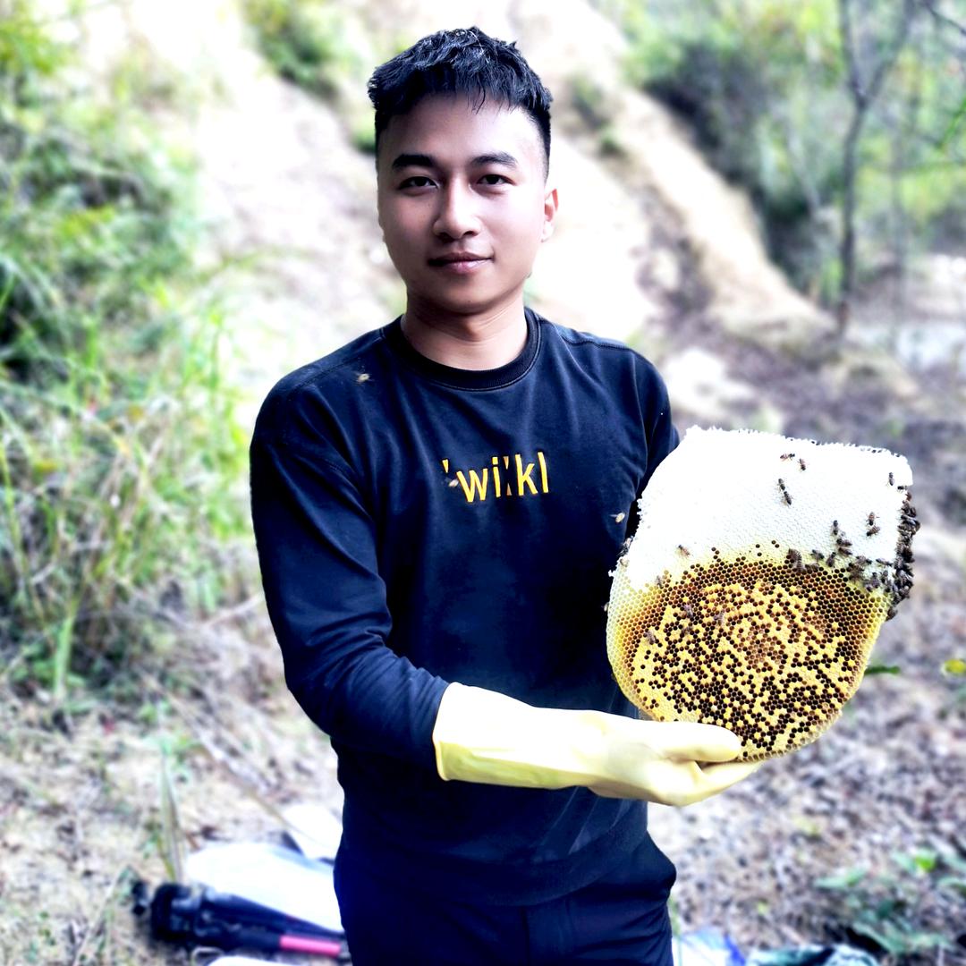 阿鹏新蜂格