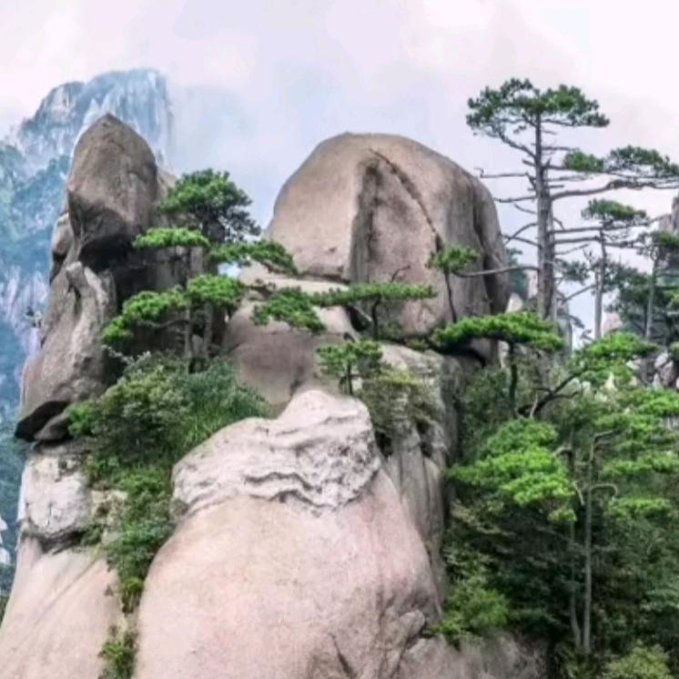 领导者