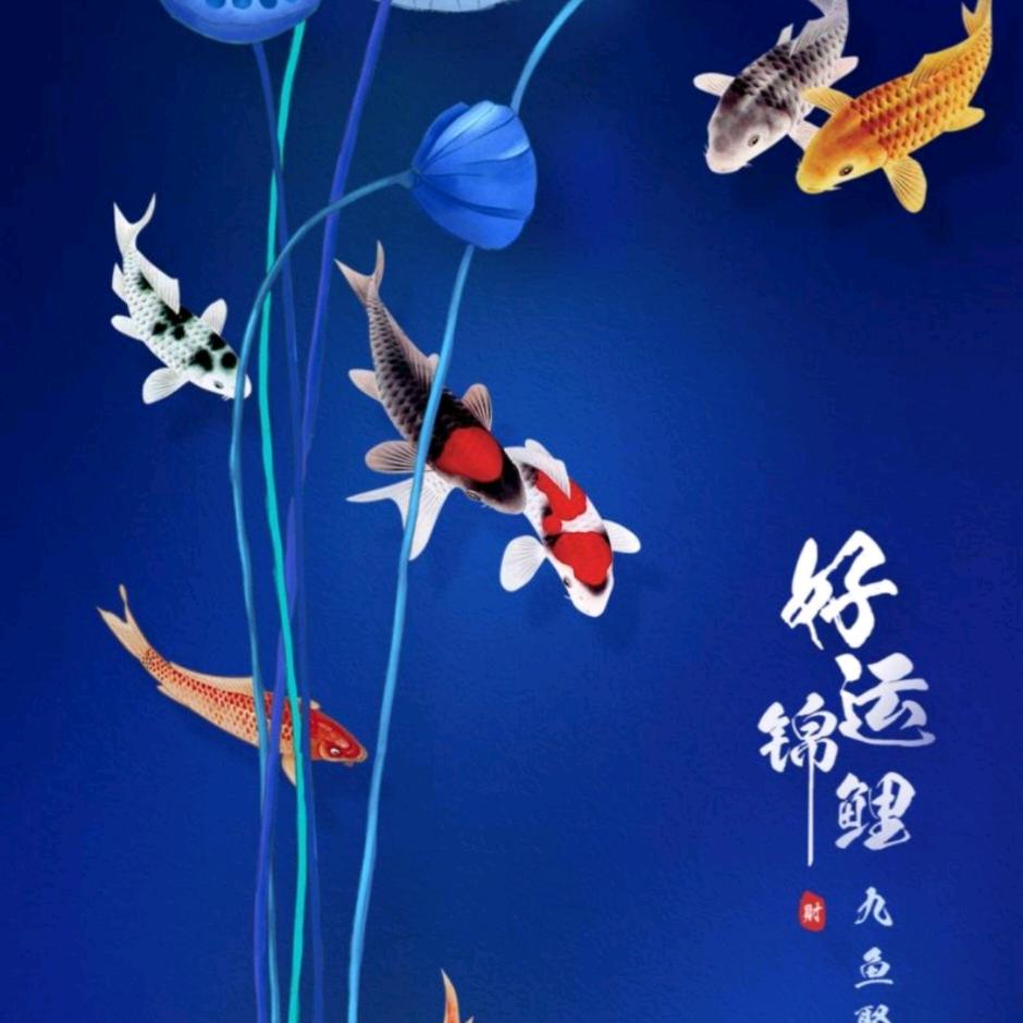 🎭🌌阿贵🎇🎆