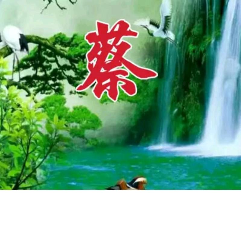 蔡國文
