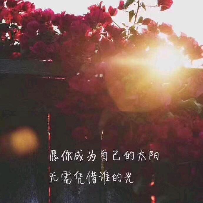 累了谁懂？