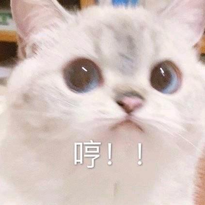 西柚xi