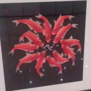 🏍️梦先生🌙