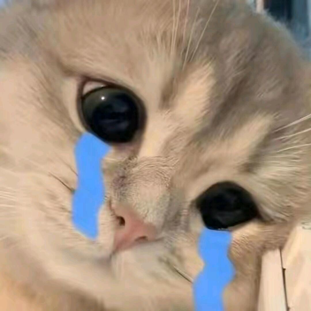 心雨_