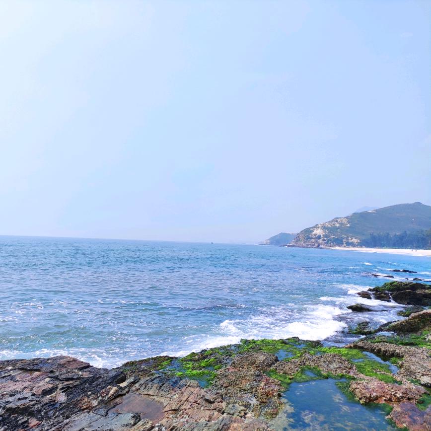 海洋mm