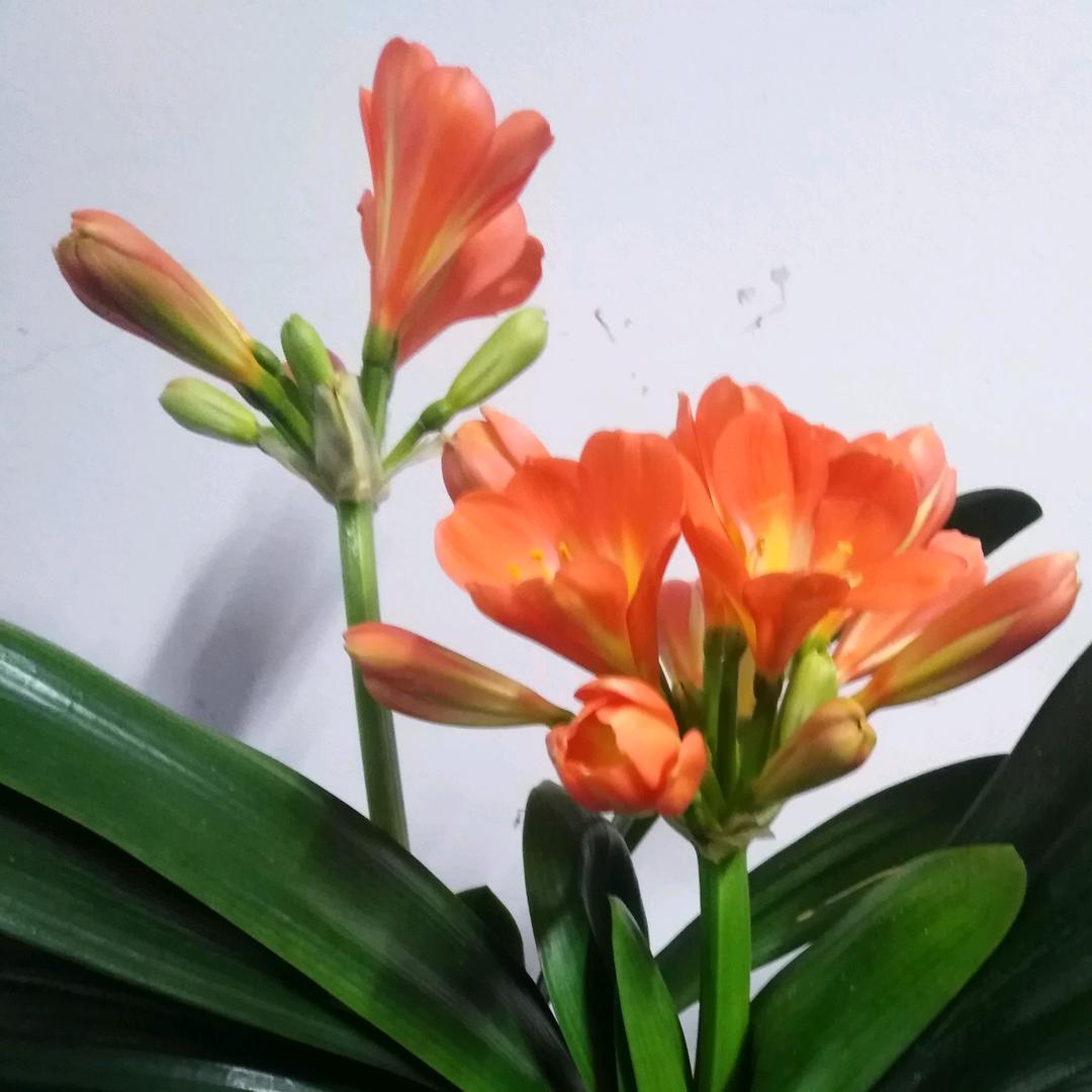 懂得一点
