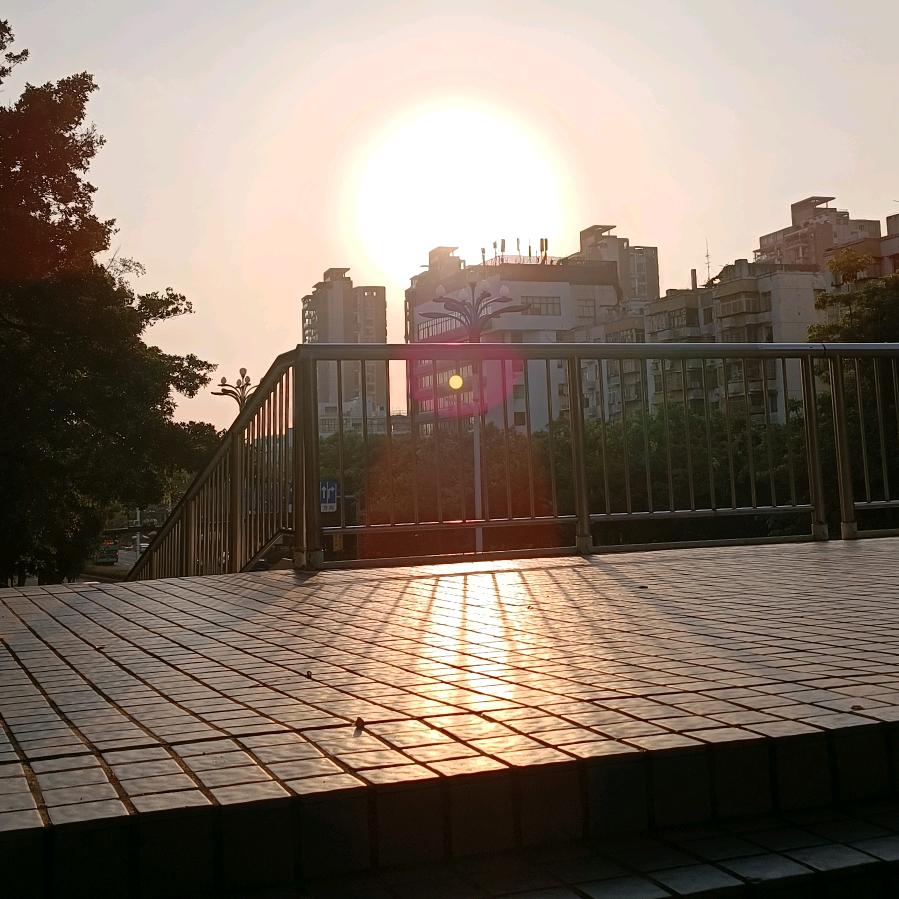 一念执