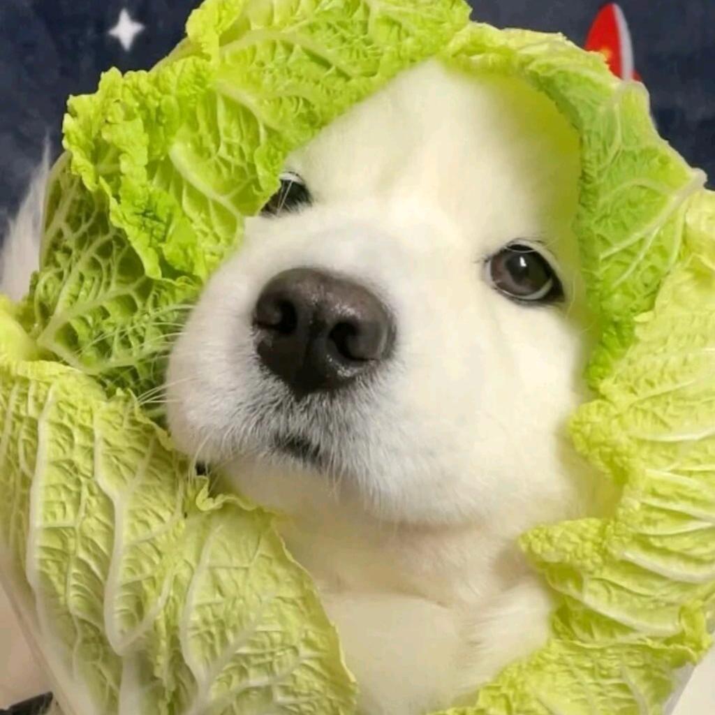 一一*
