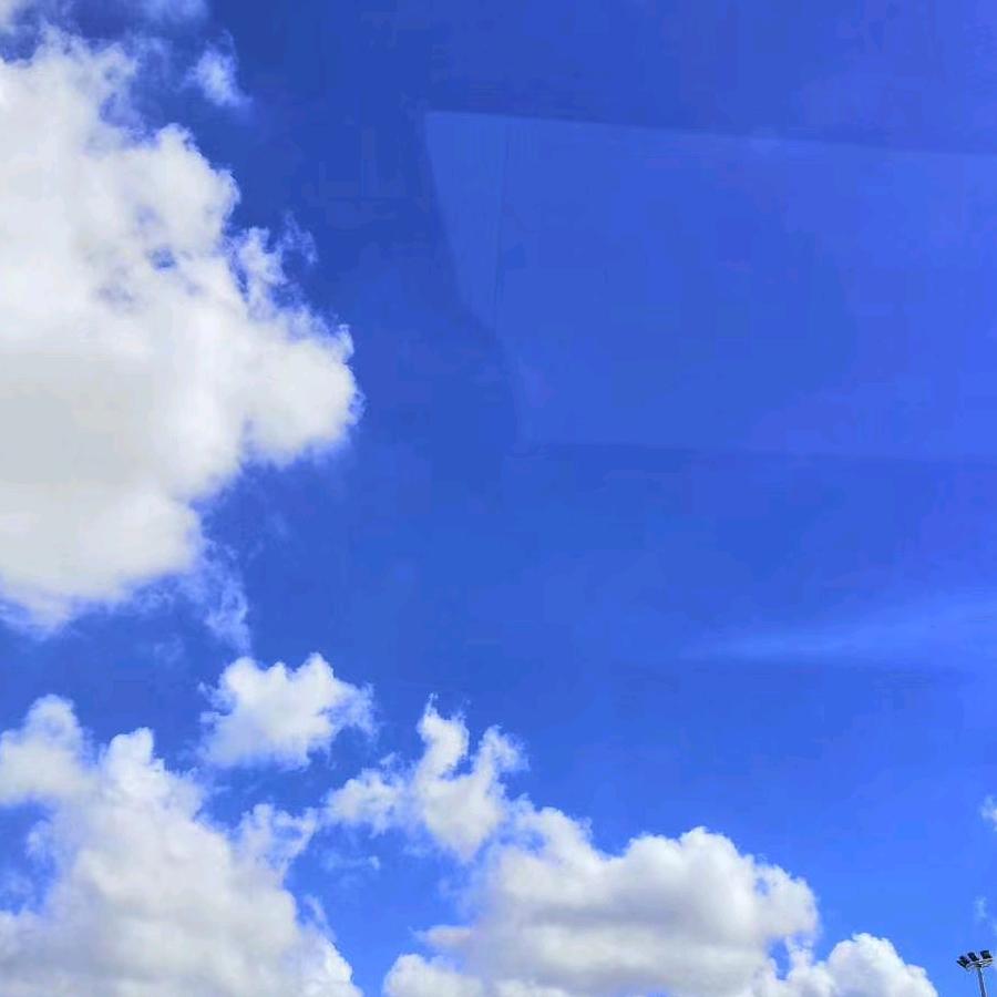 爱拼哥