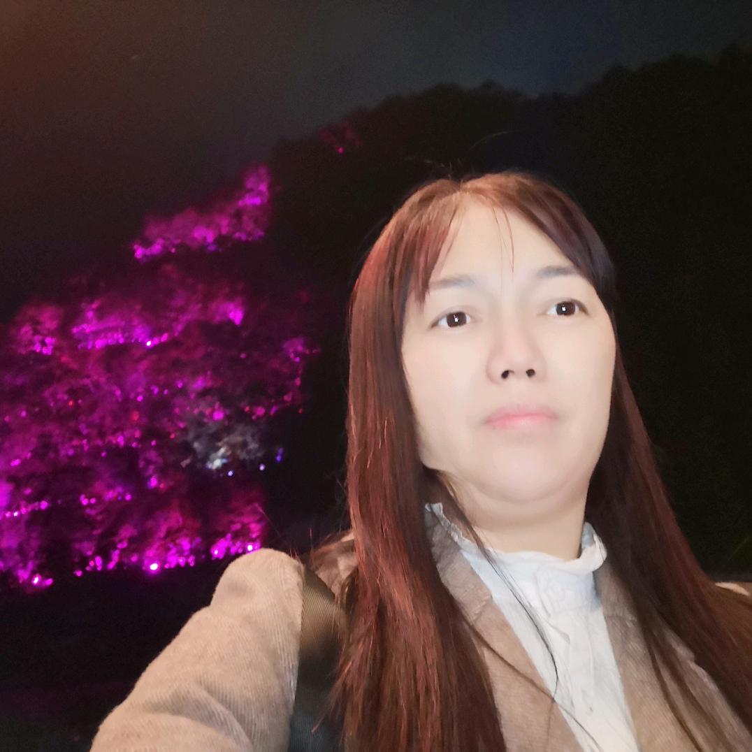 飞艳
