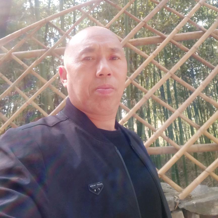 新村李同平