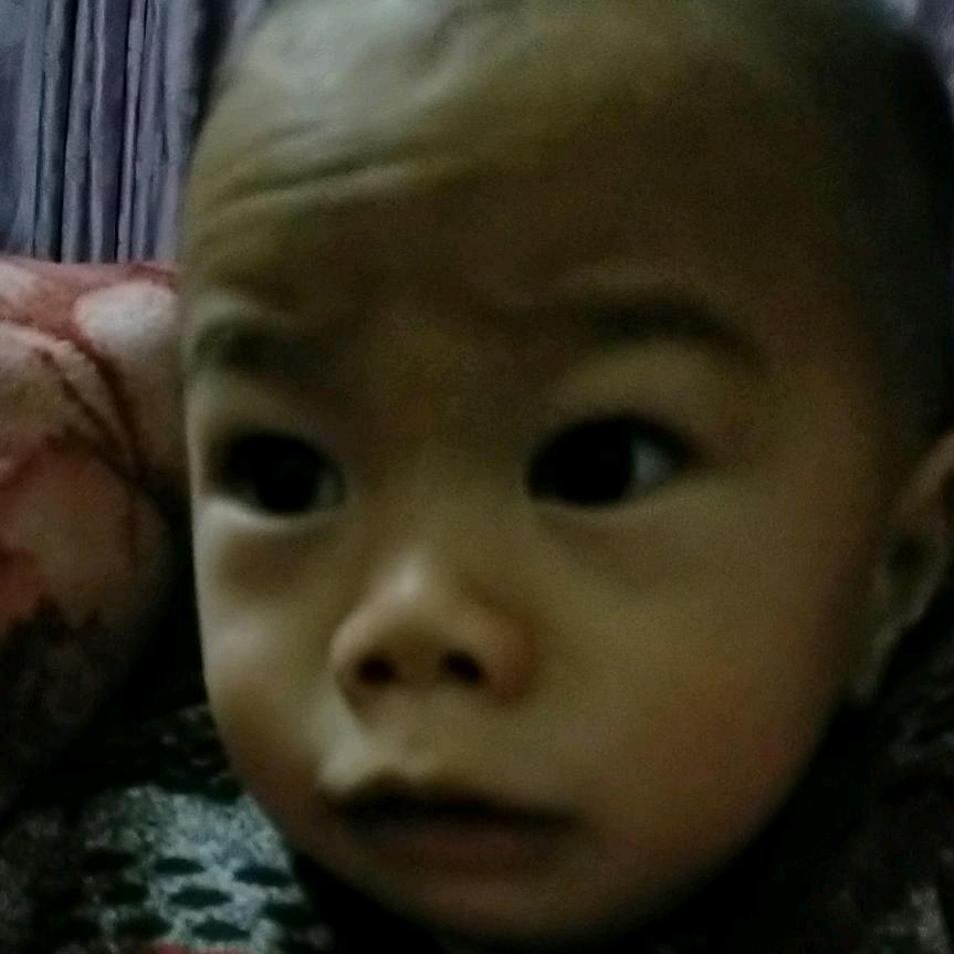 贵州远嫁河南，