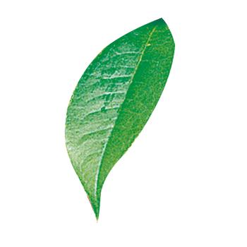 ♛一！一世界♛