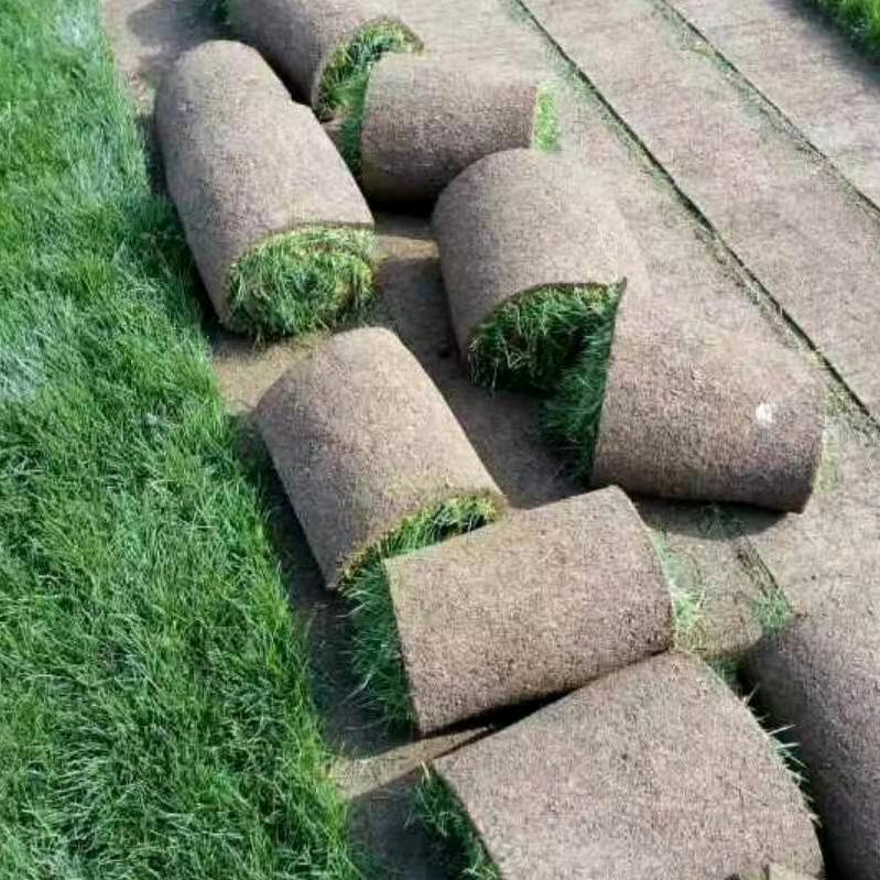 周至二手房周燕(谢绝连赞)