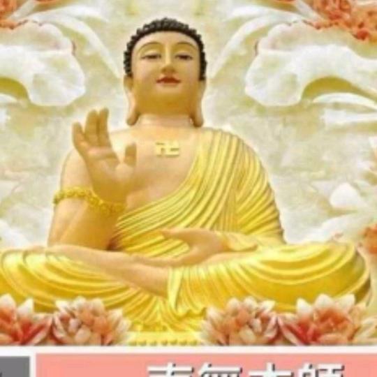招财进宝