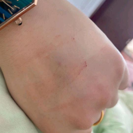 批发散养鸡鸭鹅，