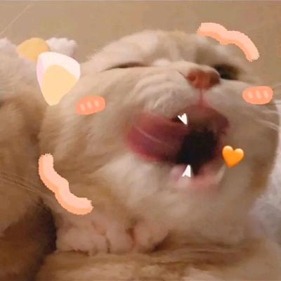 摩羯