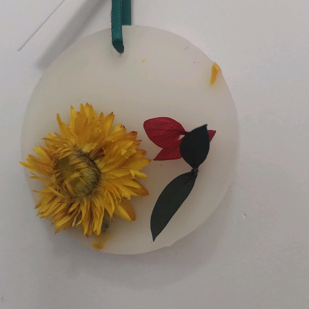 铮铮放风筝🪁