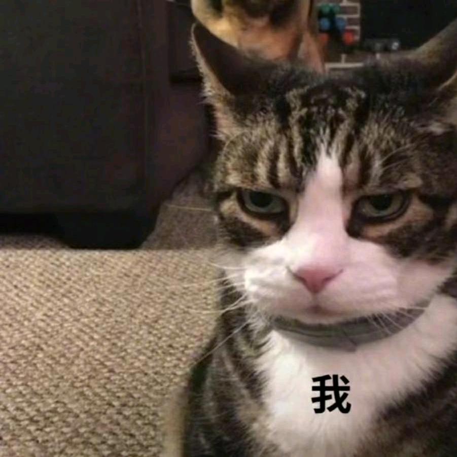 许不苦⁵¹¹