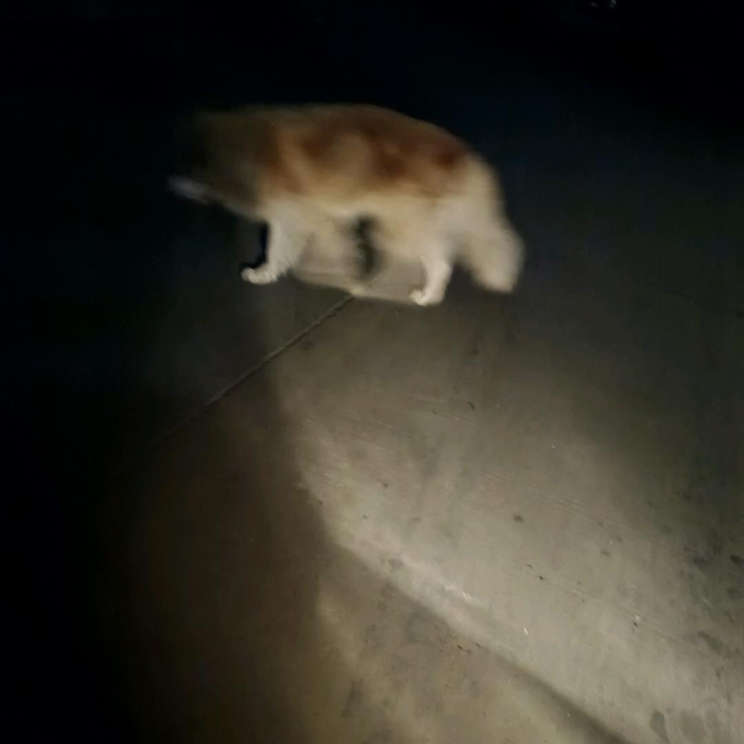 奋斗！