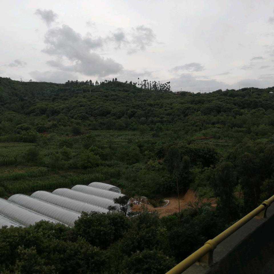 顺提自然