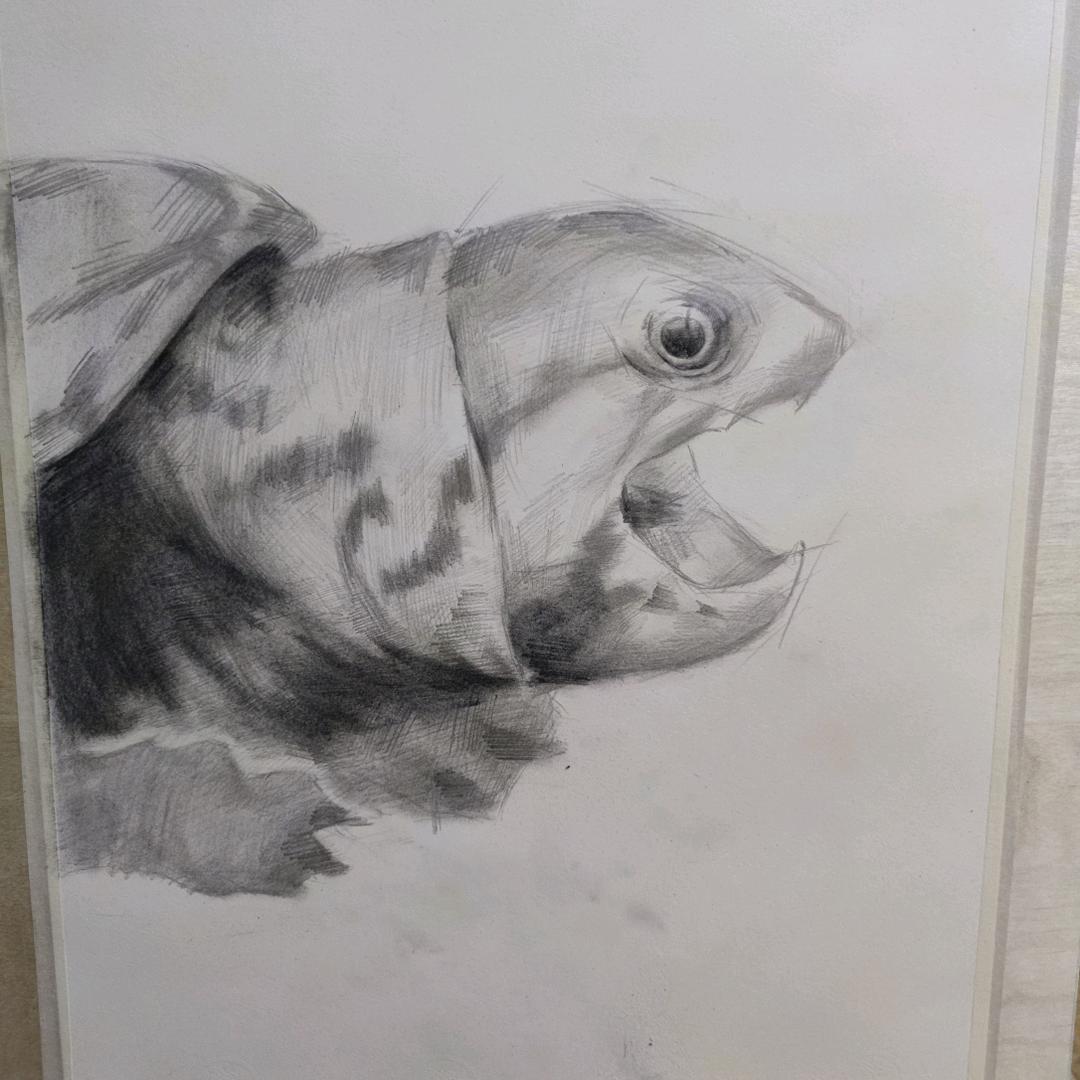 剃刀停更版（新号在主页）