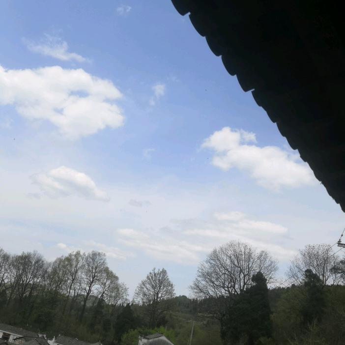 好好生活