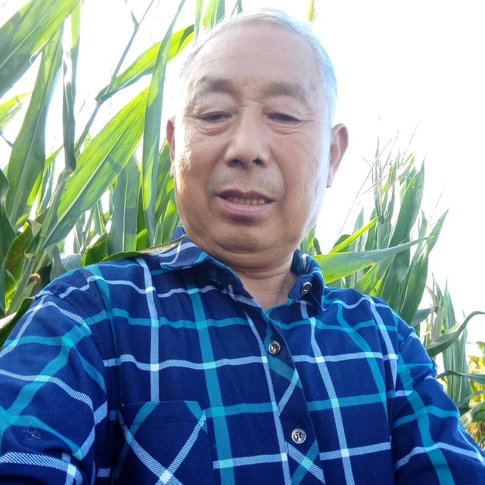 老农民
