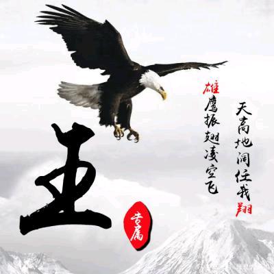 西瓜老王子🍉阳光农场