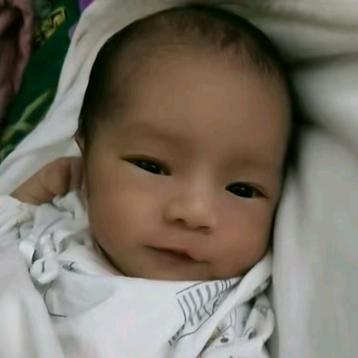 你是我的迷糊蛋