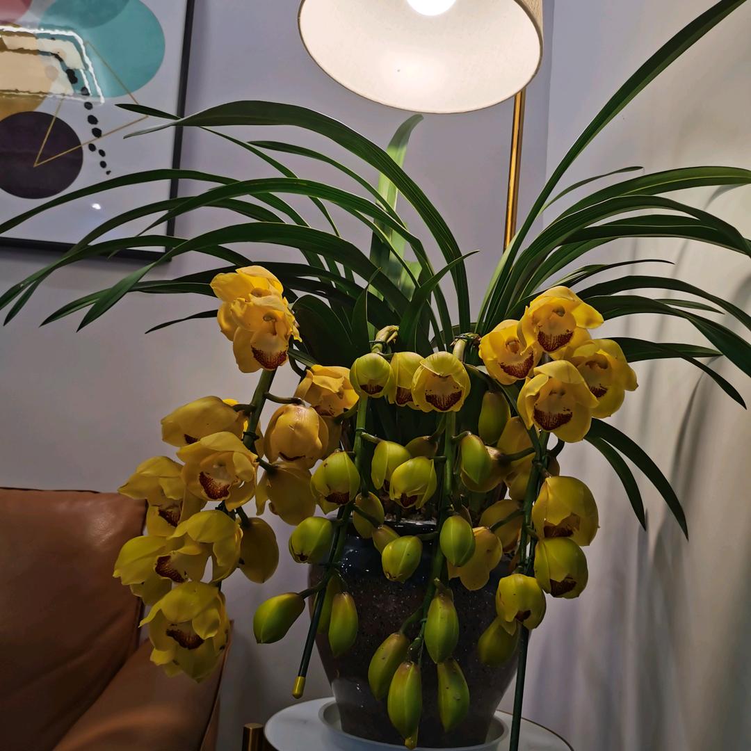 英