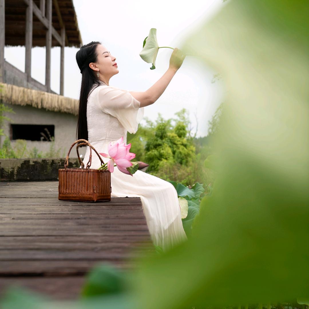 清水+茶   生态茶叶